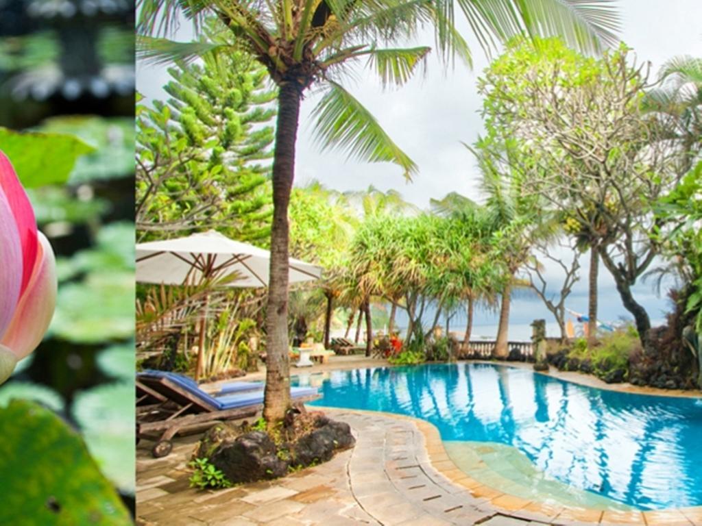 Apa Kabar Villas อาเม็ด ภายนอก รูปภาพ